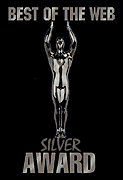 Nielsen Web Sites & Business Graphics' Silver Award